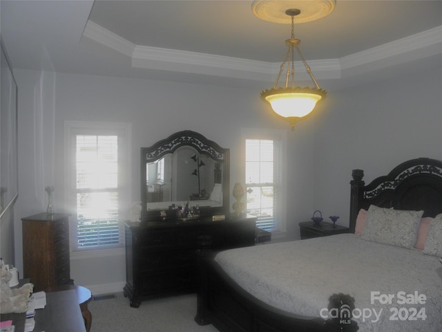 carpeted bedroom featuring ornamental molding, multiple windows, and a tray ceiling