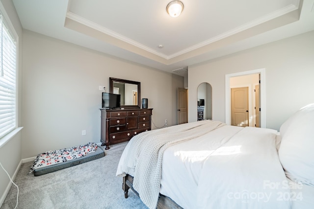 carpeted bedroom featuring a tray ceiling and ornamental molding