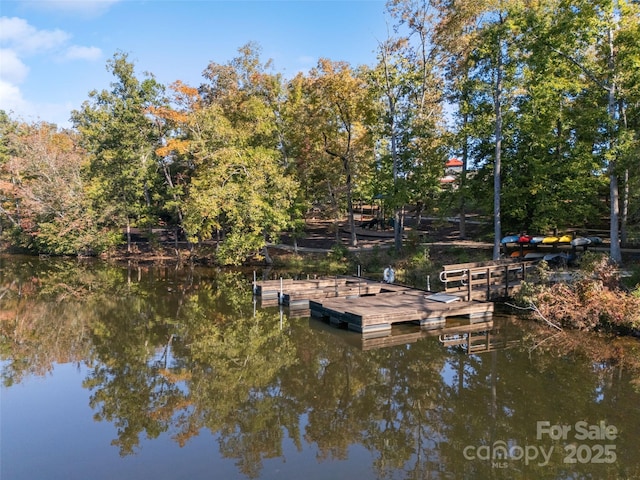 dock area with a water view