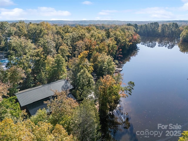 bird's eye view with a view of trees and a water view