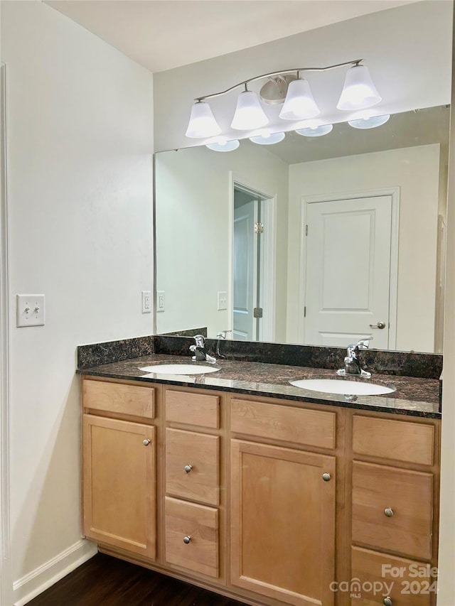 bathroom with vanity and wood-type flooring