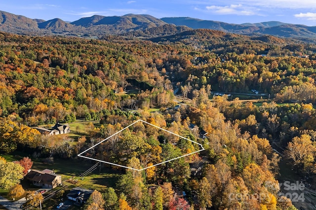 bird's eye view featuring a mountain view