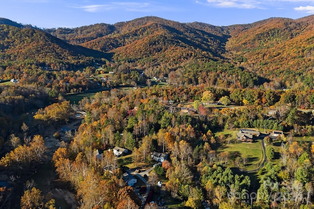 view of mountain feature