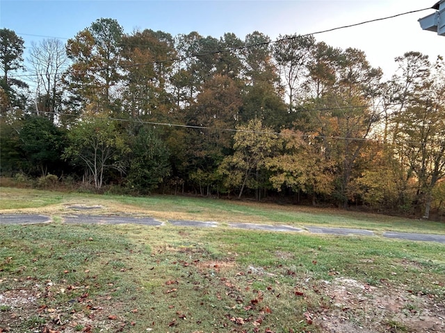 124 Elam St, Lawndale, NC 28090 - view of yard