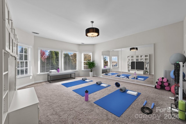 workout area featuring carpet