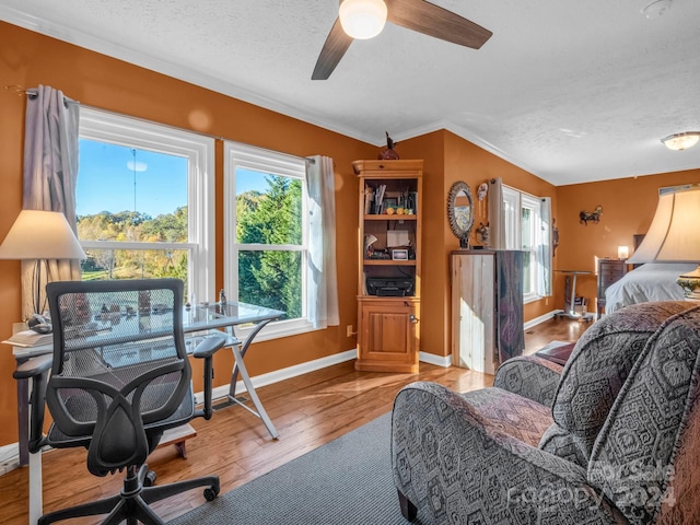 home office featuring light hardwood / wood-style floors, a textured ceiling, ornamental molding, and ceiling fan