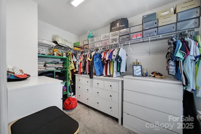 spacious closet with carpet floors