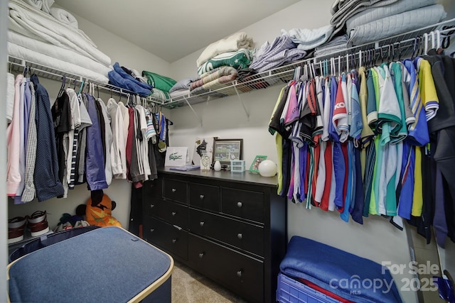 spacious closet featuring light carpet