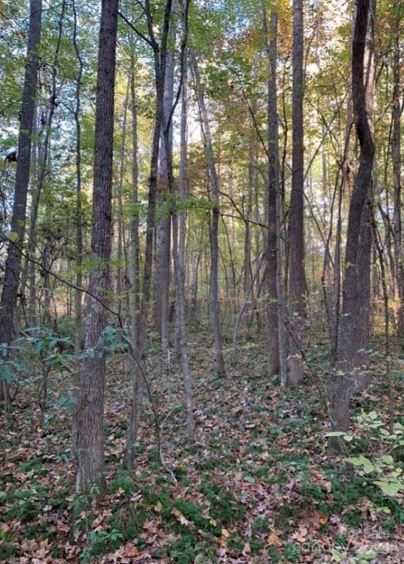 129 Hunter Lee Ln, Gastonia, NC 28052