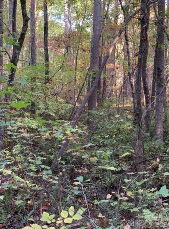 129 Hunter Lee Ln, Gastonia, NC 28052