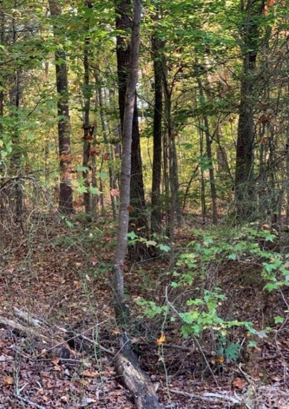 129 Hunter Lee Ln, Gastonia, NC 28052