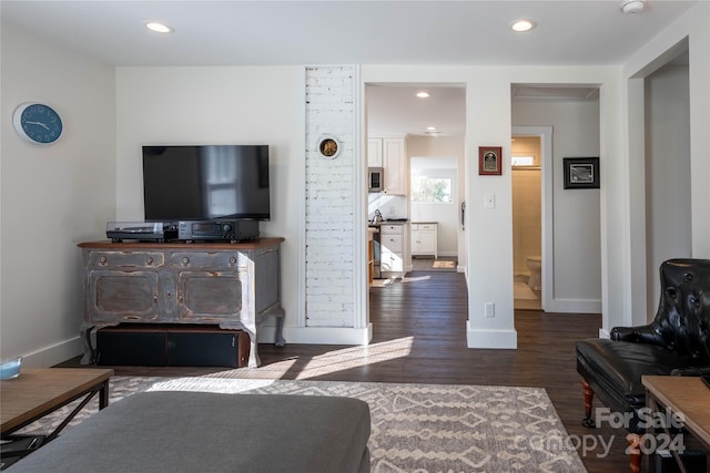 living room with dark hardwood / wood-style flooring