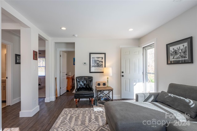 living room with a wealth of natural light and dark hardwood / wood-style floors