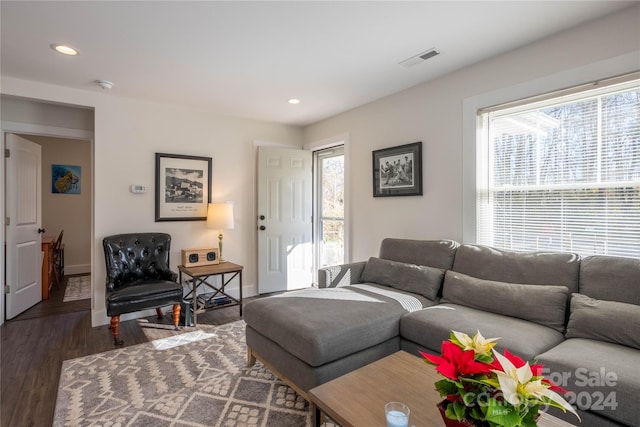 living room featuring dark hardwood / wood-style flooring