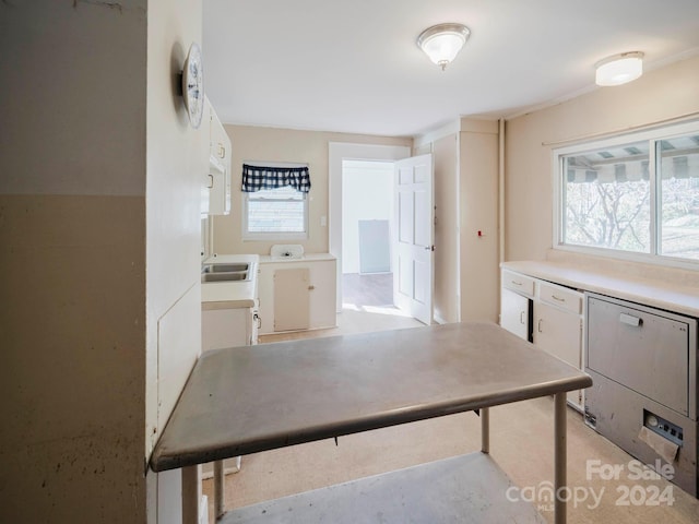 kitchen with a healthy amount of sunlight and sink