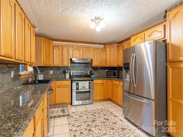 1000 Mountain View Church Rd, Zirconia, NC 28790 - kitchen with stainless steel appliances, a sink, under cabinet range hood, tasteful backsplash, and light tile patterned flooring
