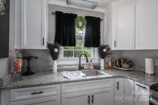 kitchen featuring ornamental molding, sink, and white cabinetry