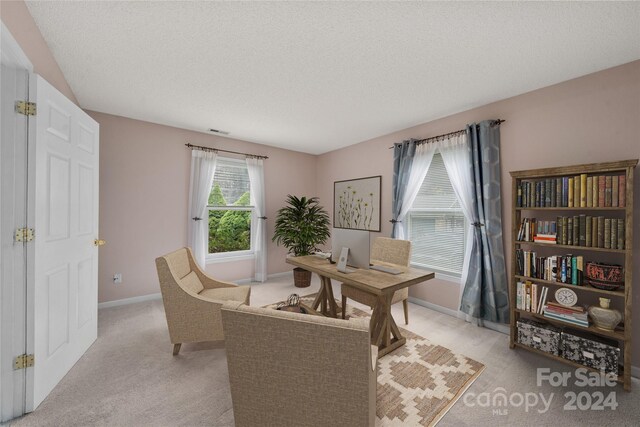 267 Rocky Mountain Way, Arden, NC 28704 - office space featuring light carpet, baseboards, and a textured ceiling