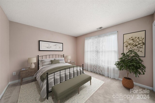 267 Rocky Mountain Way, Arden, NC 28704 - bedroom with light colored carpet, a textured ceiling, and baseboards