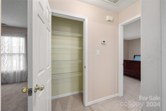 267 Rocky Mountain Way, Arden, NC 28704 - view of closet