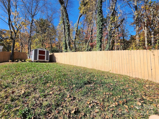 view of yard with a storage shed