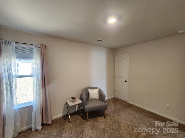 living area featuring a wealth of natural light and carpet