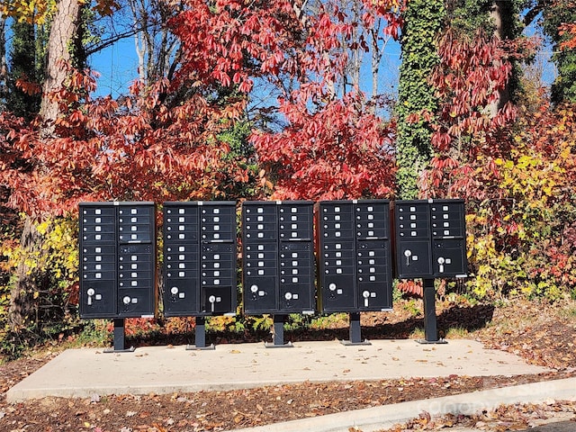 view of community featuring a mail area