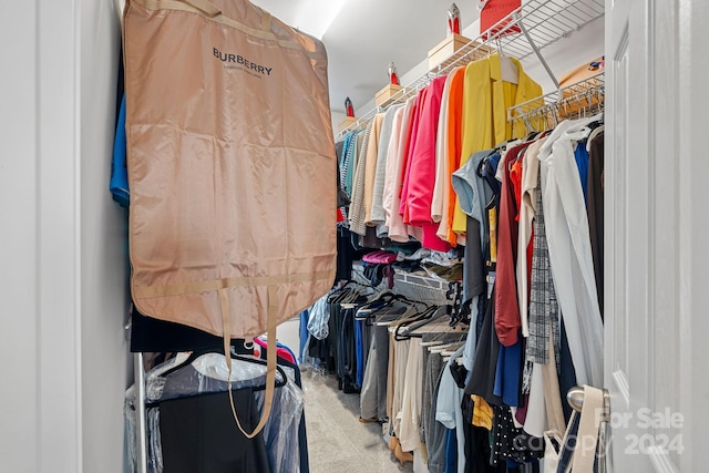 walk in closet featuring carpet