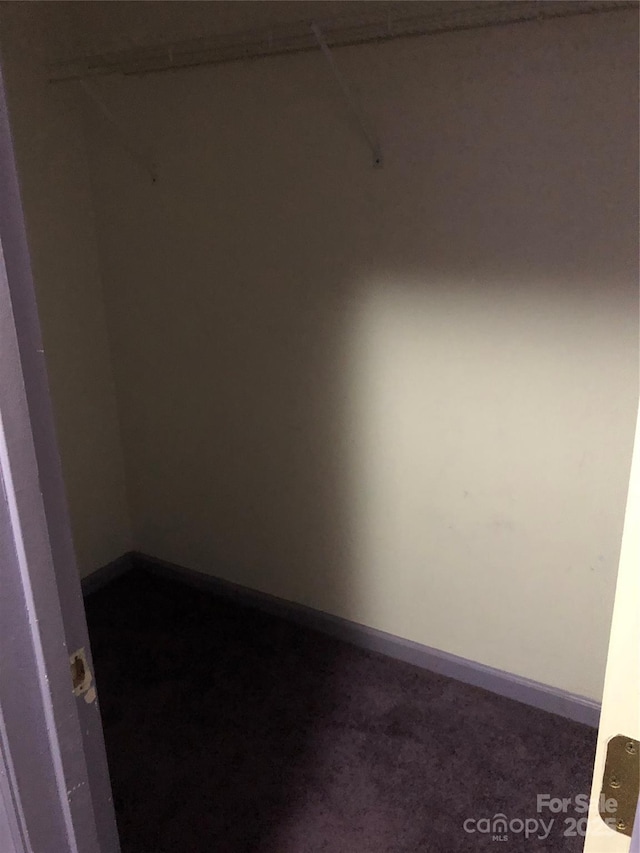 walk in closet with dark carpet