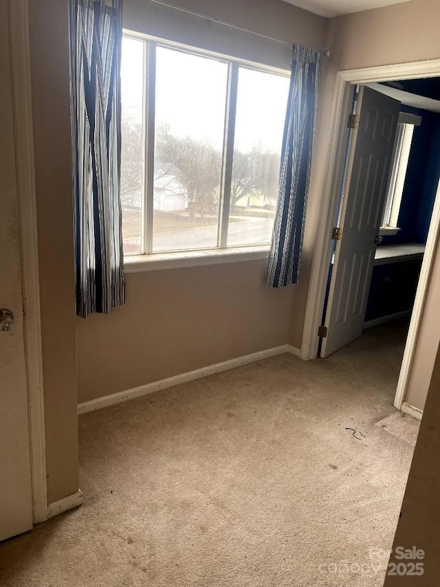 unfurnished bedroom featuring multiple windows, light carpet, and a closet