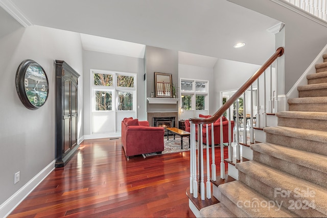 entryway featuring crown molding, a healthy amount of sunlight, and dark hardwood / wood-style flooring