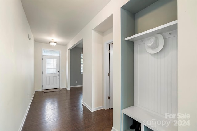 mudroom with dark hardwood / wood-style floors