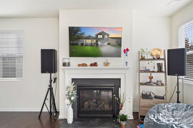 living room with dark hardwood / wood-style floors