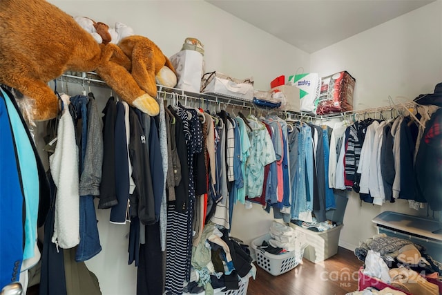 spacious closet with dark hardwood / wood-style flooring