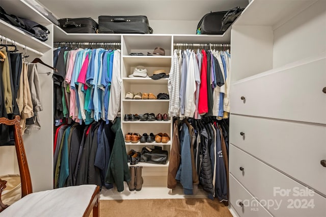 spacious closet with light colored carpet