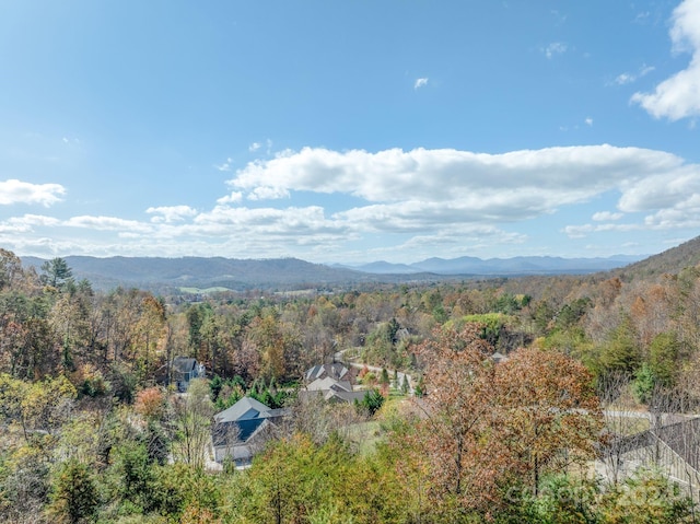 66 Hawtree Ct Unit 266, Weaverville NC, 28787 land for sale