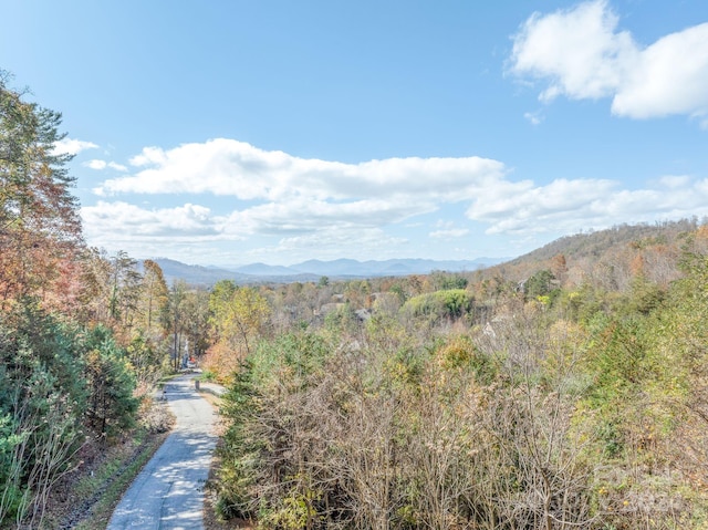 Listing photo 3 for 66 Hawtree Ct Unit 266, Weaverville NC 28787