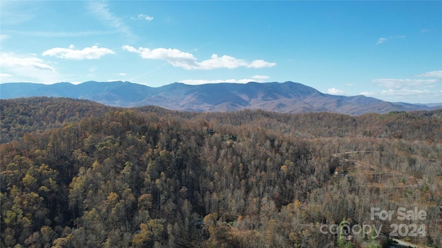 Listing photo 3 for 0 Stonefly Ct, Spruce Pine NC 28777