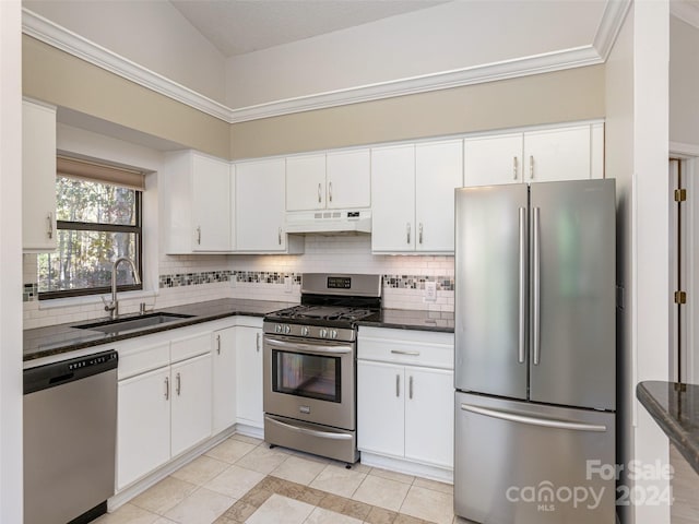 kitchen featuring a sink, backsplash, stainless steel appliances, and under cabinet range hood