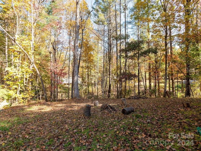 view of local wilderness