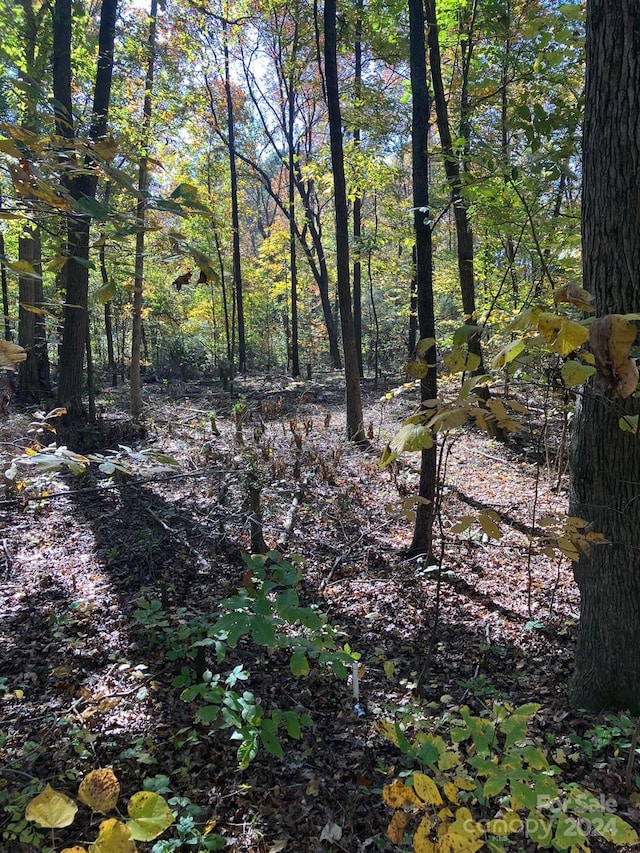 0 Poplar Lane Rd, Albemarle, NC 28001