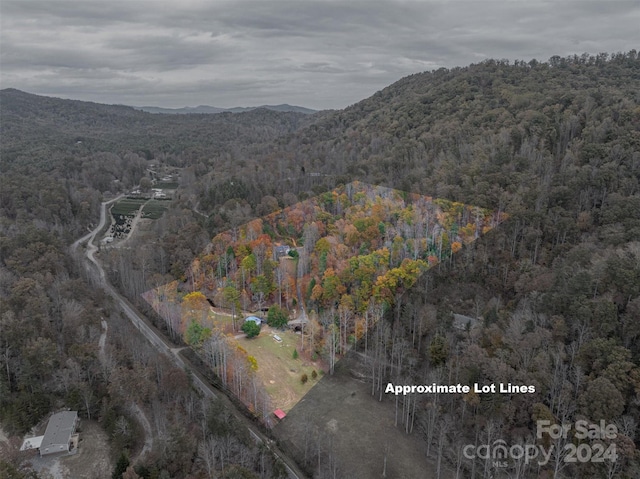 drone / aerial view featuring a mountain view