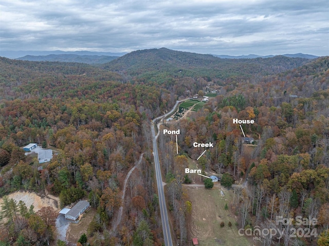 drone / aerial view with a mountain view