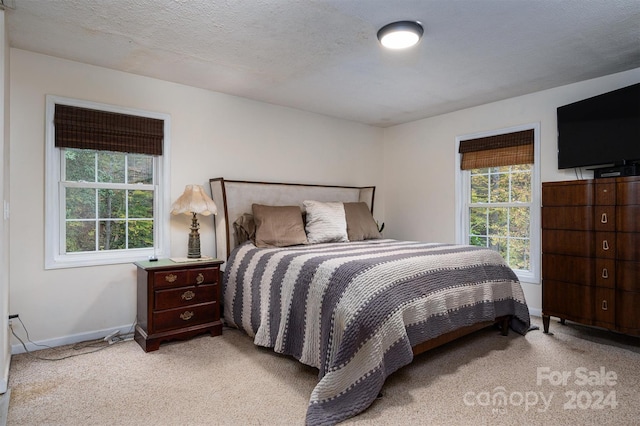 bedroom with a textured ceiling and light carpet