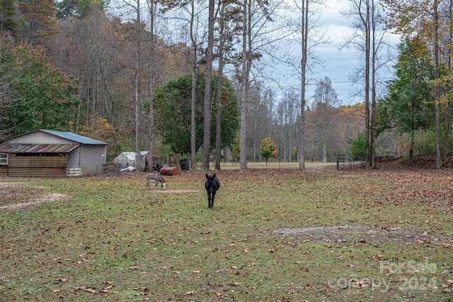 view of yard with an outdoor structure