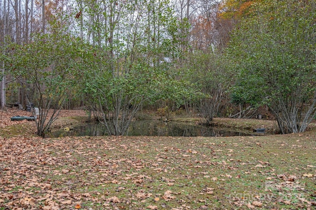 view of local wilderness