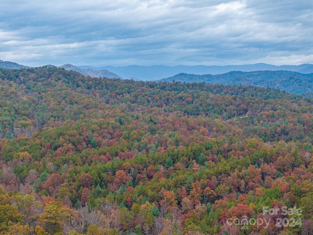 view of mountain feature