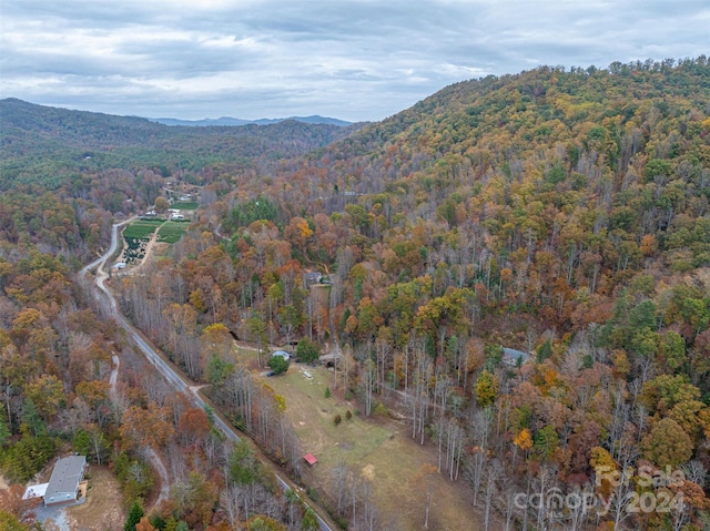 birds eye view of property featuring a mountain view