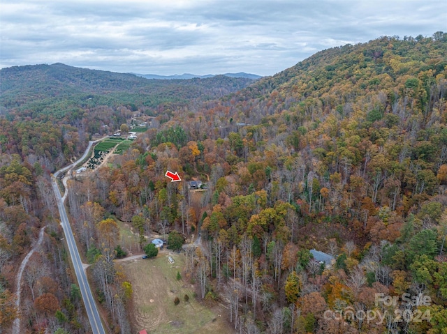 drone / aerial view featuring a mountain view