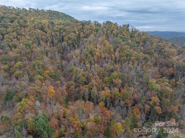 view of mountain feature